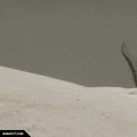 Wave Sand GIF by Boba Fett Fan Club