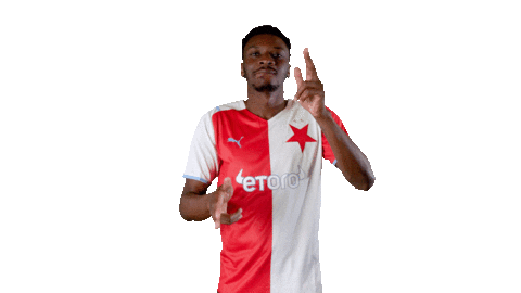 Football Goal Sticker by SK Slavia Praha