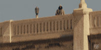 spying desmin borges GIF by You're The Worst 