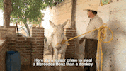 man moving GIF by Fusion