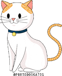 portodosgatos happy cat feliz gato Sticker