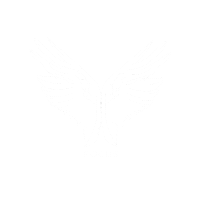 FocusPark wings womans day dzien kobiet dzienkobiet Sticker