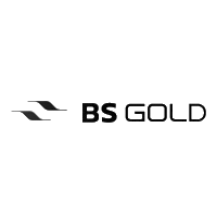 Bs Gold Sticker by BSPAR