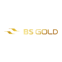 Bs Gold Sticker by BSPAR