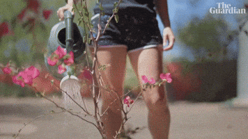 It Removes the Barriers To Entry