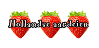 Pkb Sticker by De Pannekoekenbakker Maarsseveense Plassen