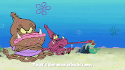 episode 7 plankton retires GIF by SpongeBob SquarePants