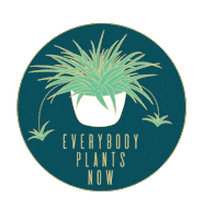 Plant Sticker by Wildflora LA