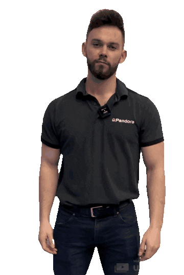 Ok Sticker by Pandora Car Alarms