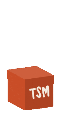 TravelSurfMorocco mystery tsm mysterybox travelsurfmorocco Sticker