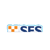 Ses Sticker by NSW State Emergency Service