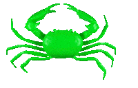 3D Crab Sticker by BIMBA Y LOLA