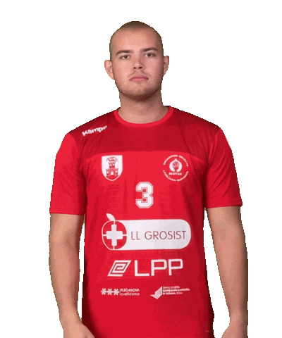 rdslovan giphyupload slovenija slovan rokomet Sticker