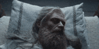 Robin Hood GIF by A24