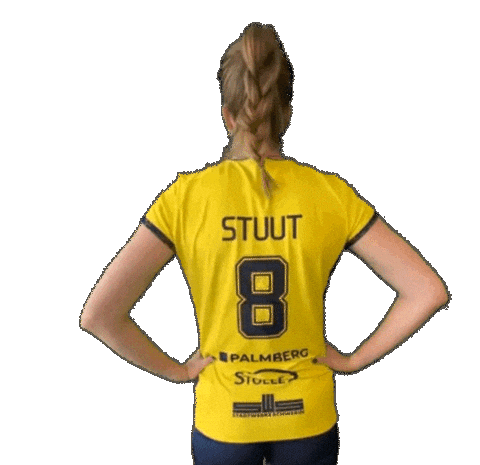 Schwerinssc Sticker by SSCPalmbergSchwerin