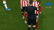 City Sheffieldunited GIF by MolaTV