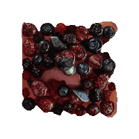 baracademyTV blender berries bar academy bar academy tv Sticker