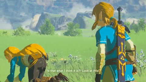 The Legend Of Zelda Link GIF by GIPHY Gaming