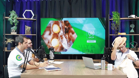 GIF by Rally da Safra