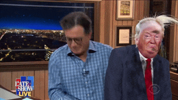 Stephen Colbert Trump GIF by The Late Show With Stephen Colbert