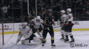 happy ice hockey GIF by NHL