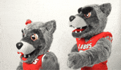 New Mexico Lucy GIF by UNM