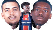 France Sport Sticker by Paris Saint-Germain Handball