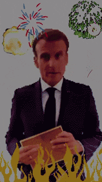 Macron Emeute GIF by systaime