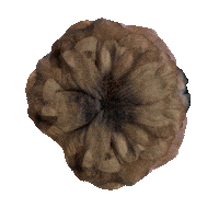 New Year Overload Sticker by Sugababes