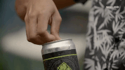 viceland GIF by BEERLAND
