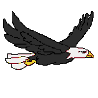 eagle STICKER