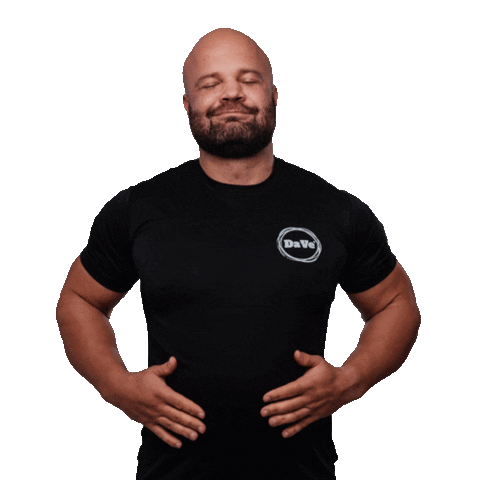 Dave Dejv Sticker by schudnisdave