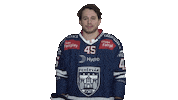 Icehockey Sticker by Fehervar AV19