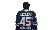 Icehockey Sticker by Fehervar AV19