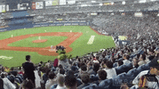 hou GIF by MLB