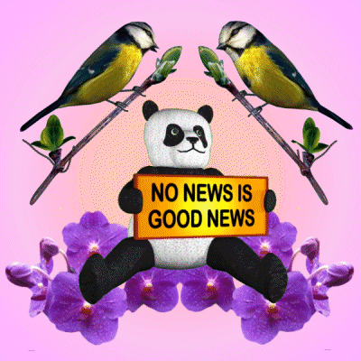 Good News Panda GIF
