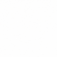 qualityconsultoria quality ej mej formigadelicia GIF