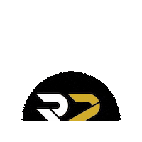 r2performancebjj performance jiujitsu treinamento r2 Sticker