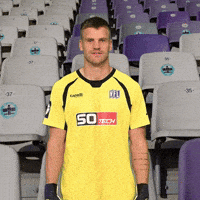 Celebration Keeper GIF by VfLOsnabrueck
