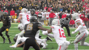 Iowa Hawkeyes Hawks GIF by University of Iowa Hawkeyes Athletics