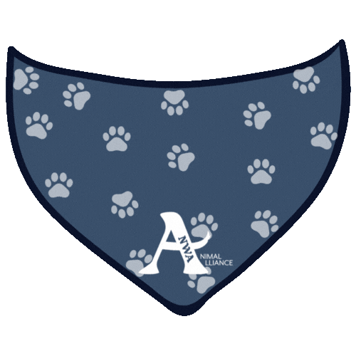 Spay Spaying Sticker by Big Paws of the Ozarks