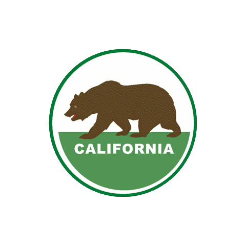 Local Government Bear Sticker by Tripepi Smith