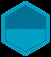 Molchanovs Freediving GIF by Molchanovs