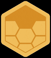 Molchanovs Freediving GIF by Molchanovs