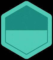 Molchanovs Freediving GIF by Molchanovs