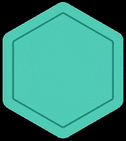 Molchanovs Freediving GIF by Molchanovs