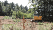 Excavator Grading GIF by JC Property Professionals