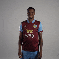 Premier League Ball GIF by Burnley Football Club