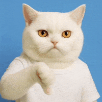 Cat Thumbs Down GIF