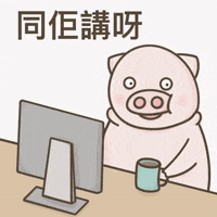 Pig Piggy GIF